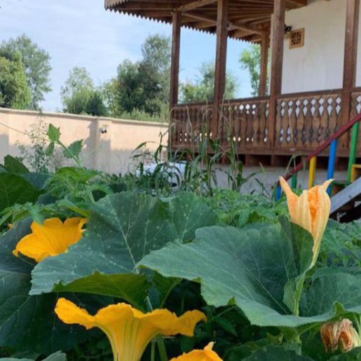 تصویر پروفایل میزبان