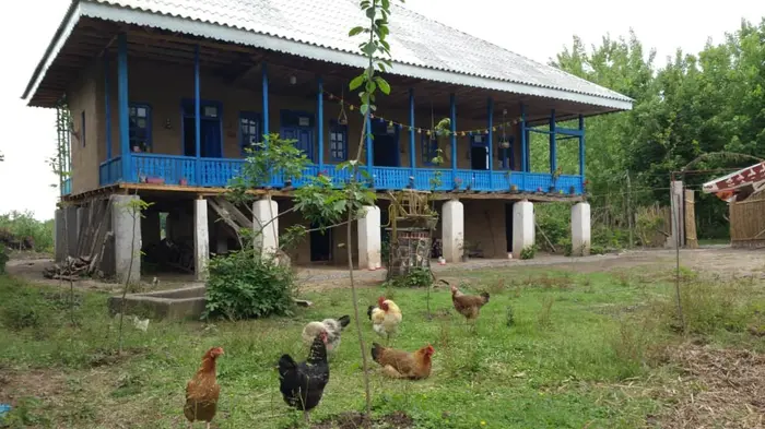 گیل خانه - واحد گل پامچال