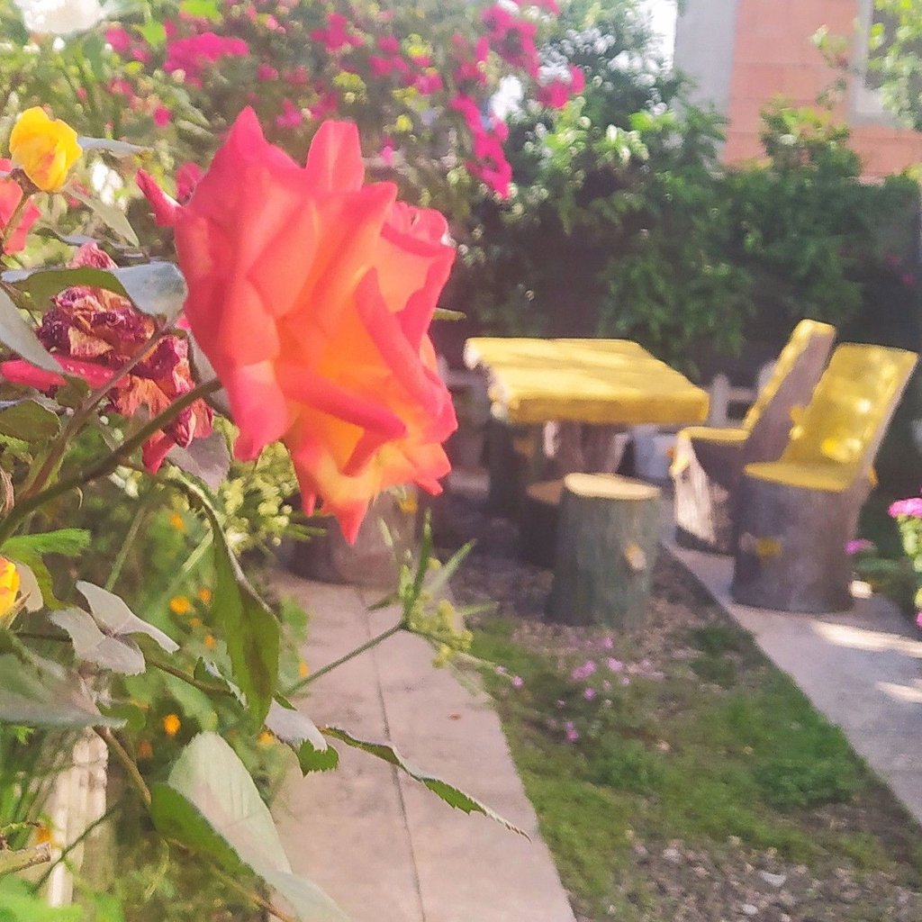 تصویر پروفایل میزبان