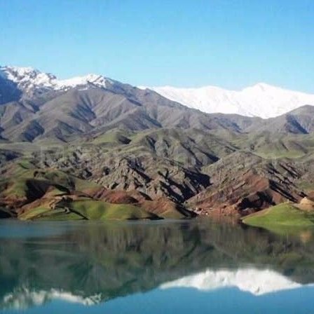 تصویر پروفایل میزبان