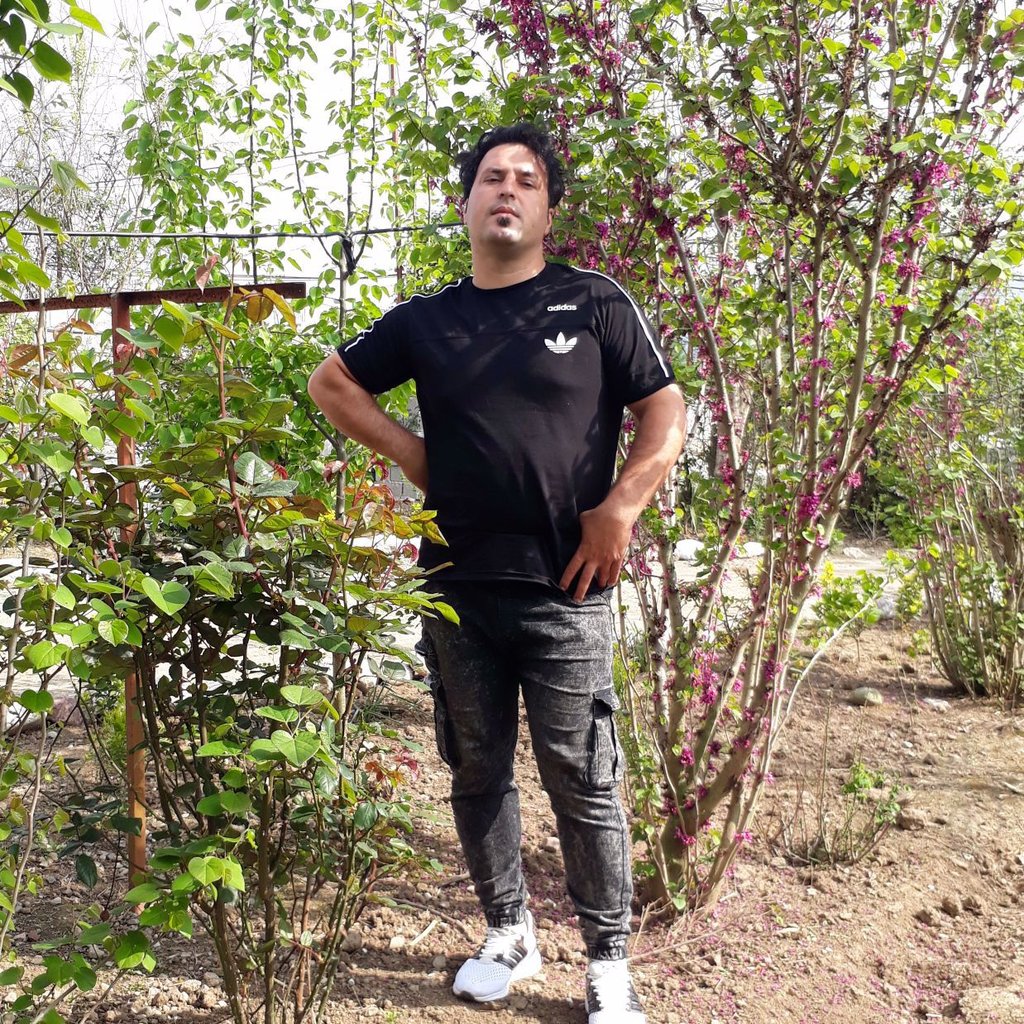 تصویر پروفایل میزبان