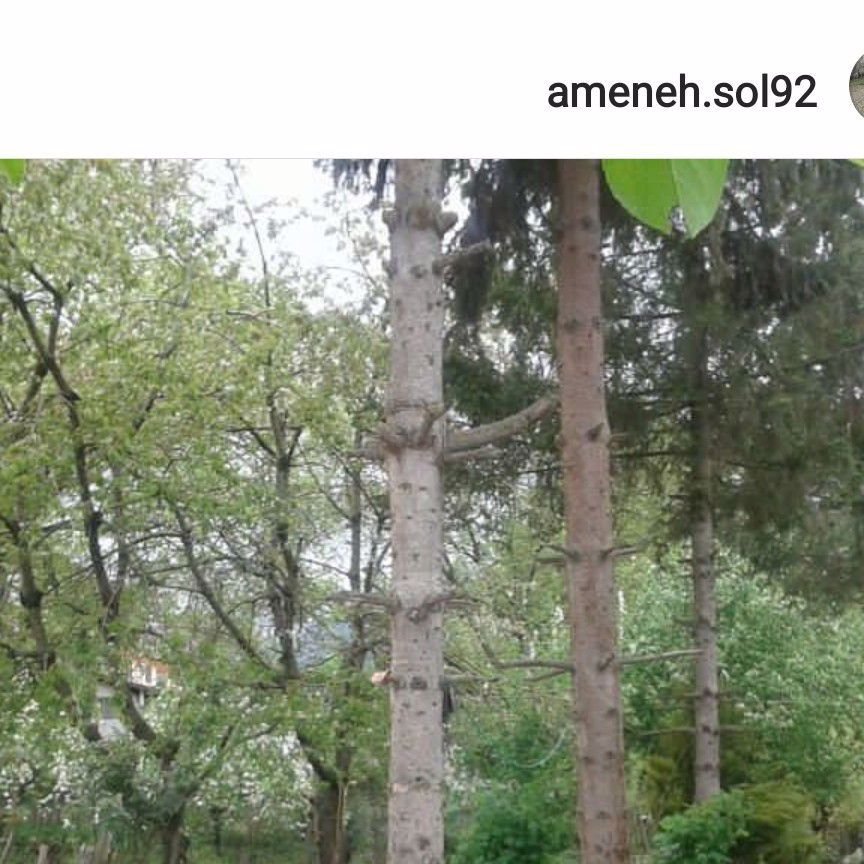 تصویر پروفایل میزبان