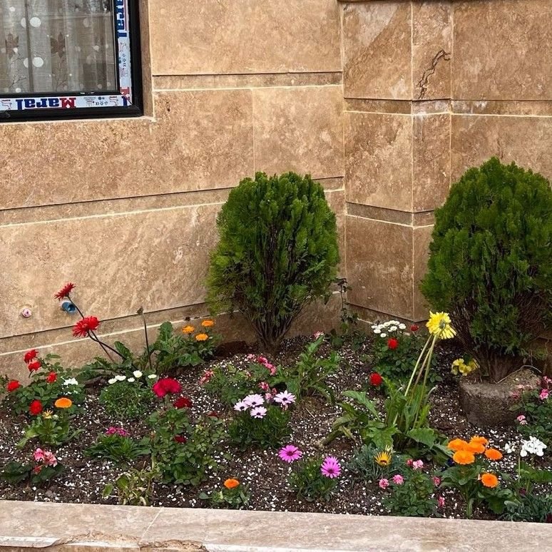 الهام جاویدانی