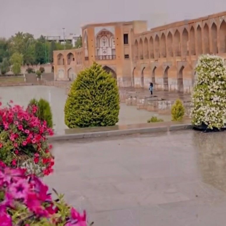 تصویر پروفایل میزبان