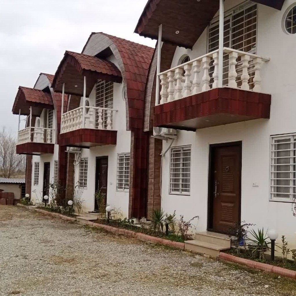 امیر دادویی