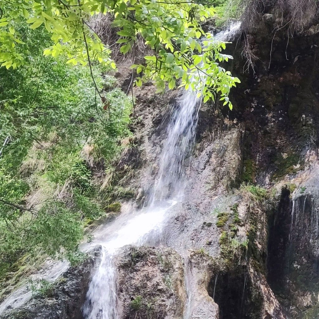 میزبان جاباما - محمد قاسم  شریفی راد 