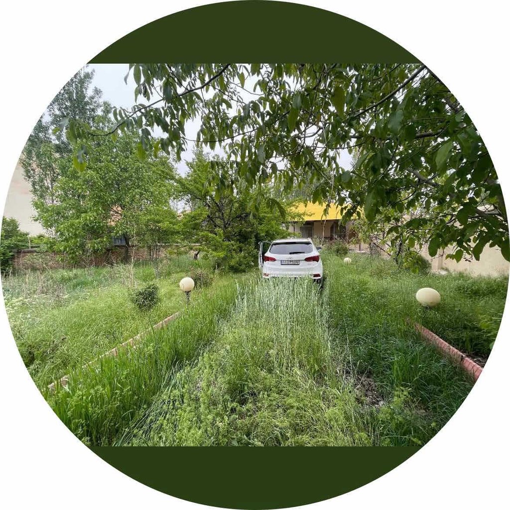 تصویر پروفایل میزبان