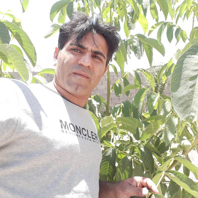 علی