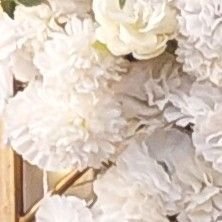 تصویر پروفایل میزبان