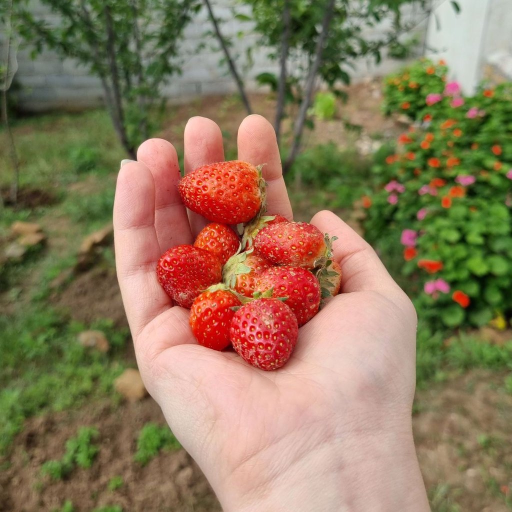تصویر پروفایل میزبان