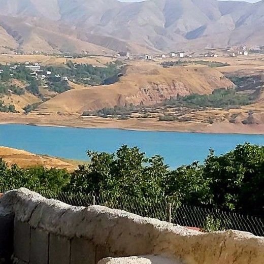 سمیه 