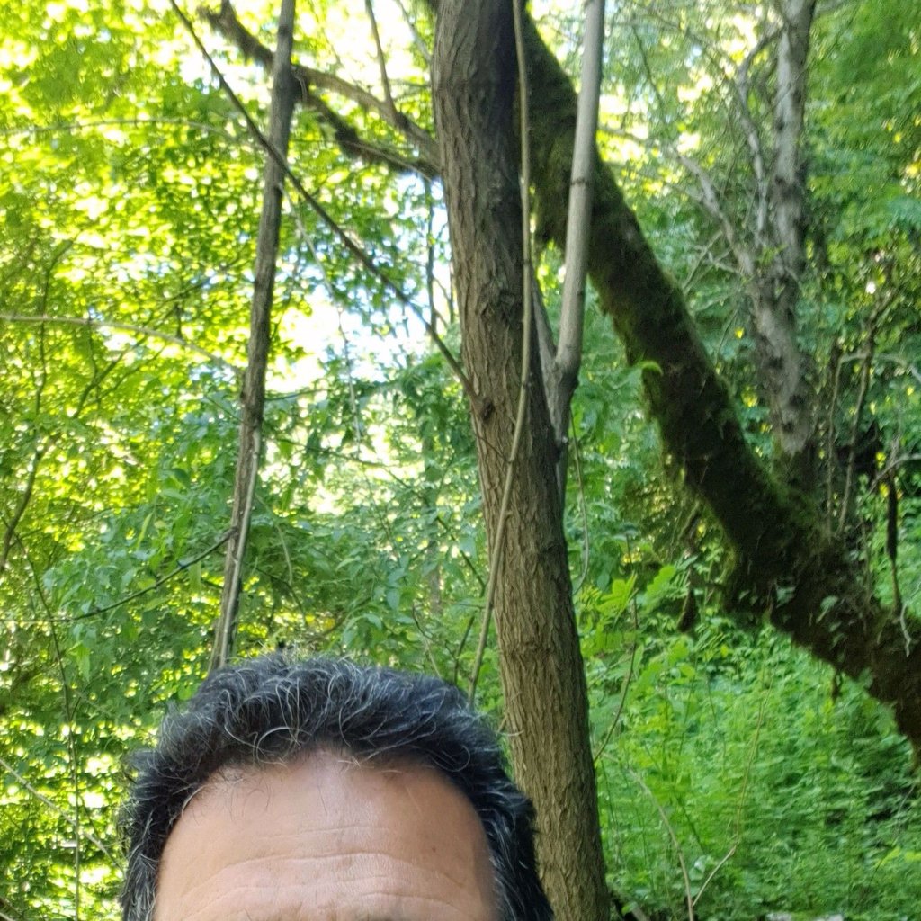 تصویر پروفایل میزبان