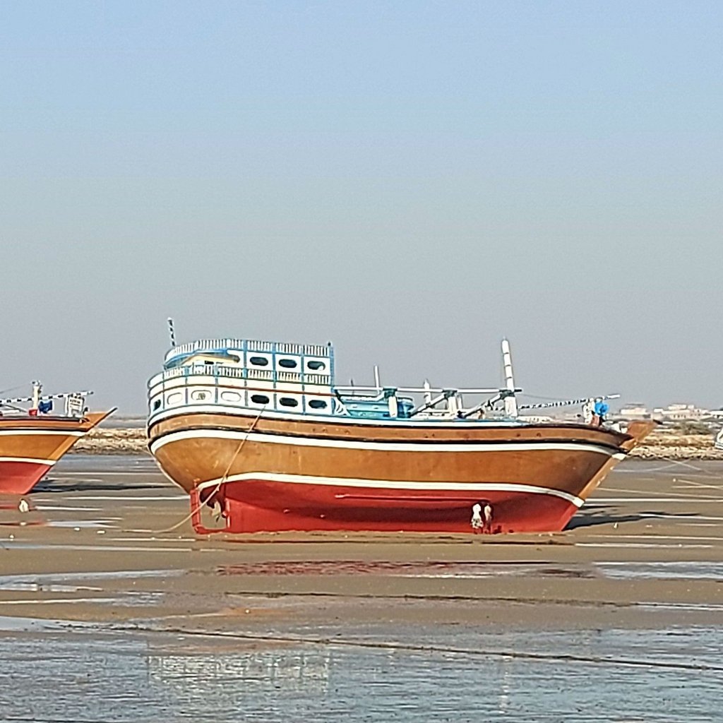 جواد