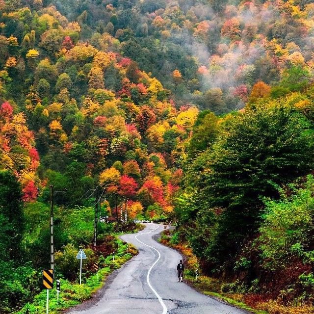 تصویر پروفایل میزبان