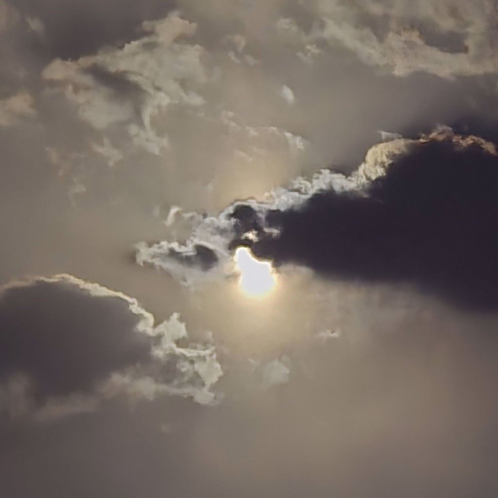 تصویر پروفایل میزبان