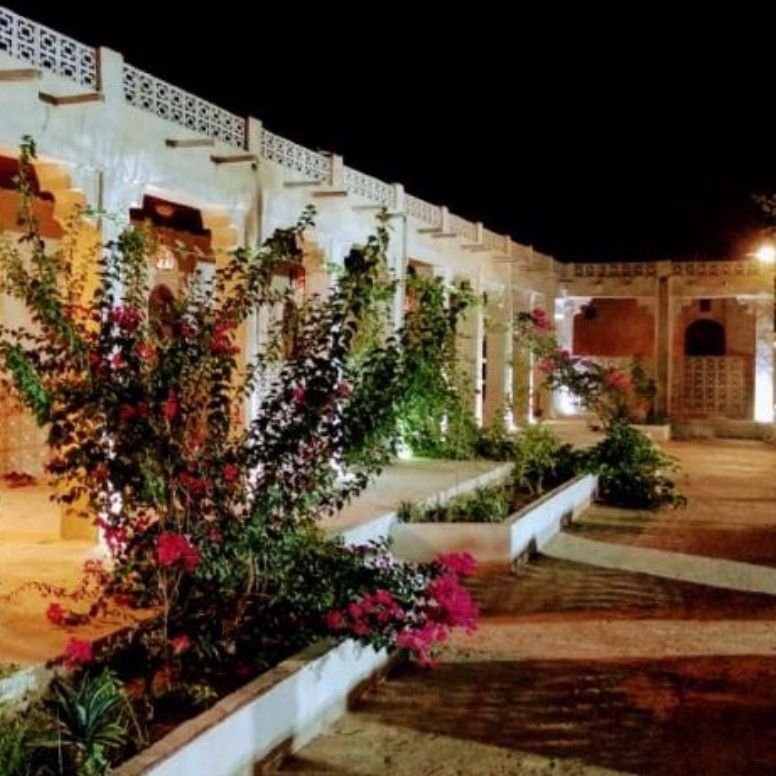 مجتبی