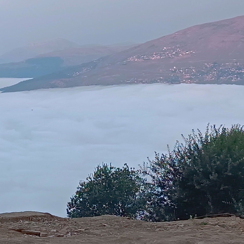 سيده حوريا