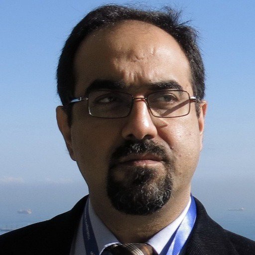 محمد مهدی