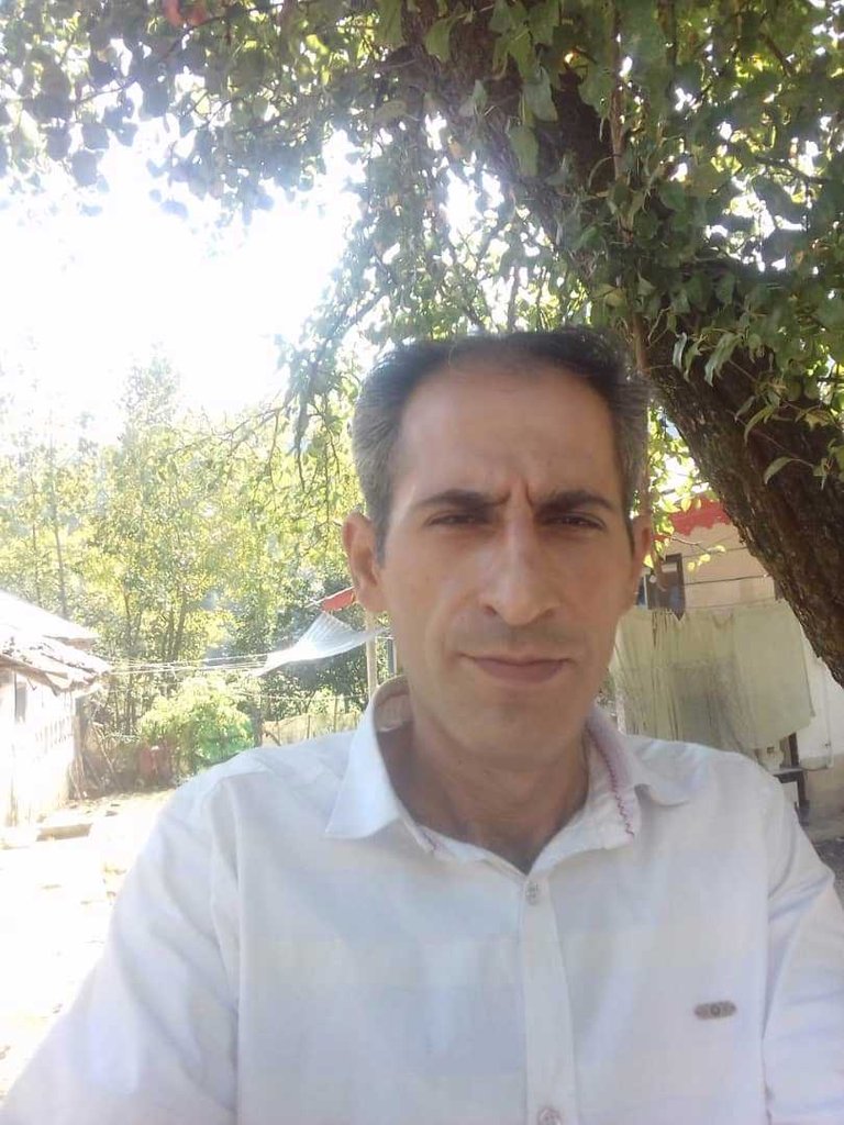 محمد علی
