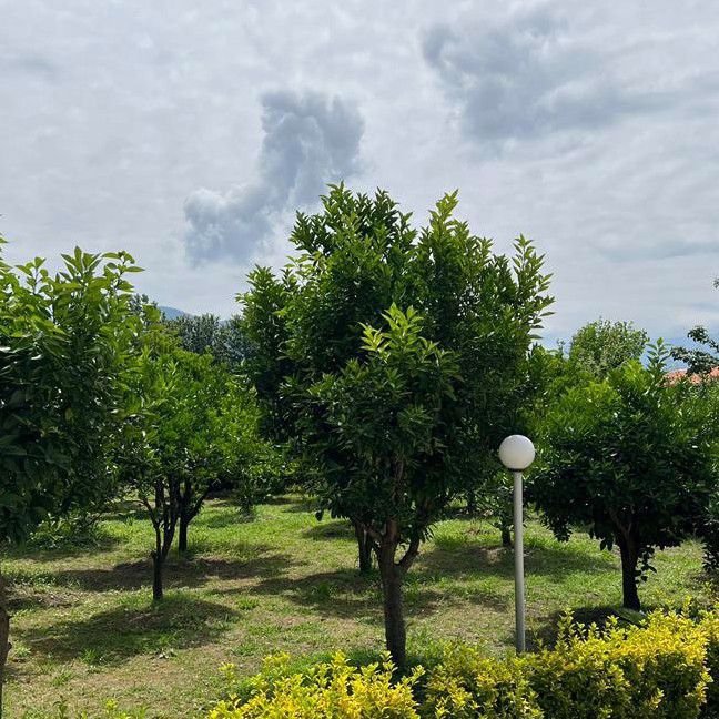 تصویر پروفایل میزبان