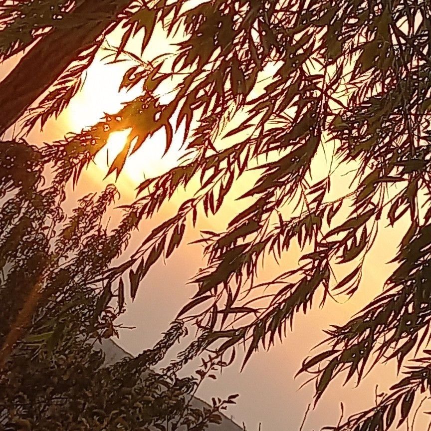 تصویر پروفایل میزبان