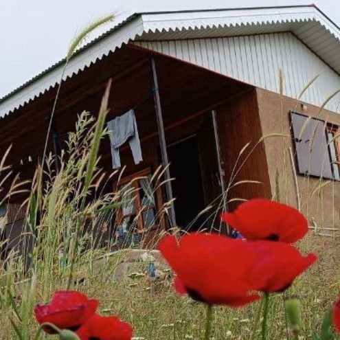 ناطق پوررضا