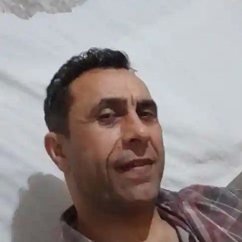 جواد