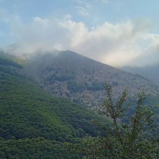 تصویر پروفایل میزبان