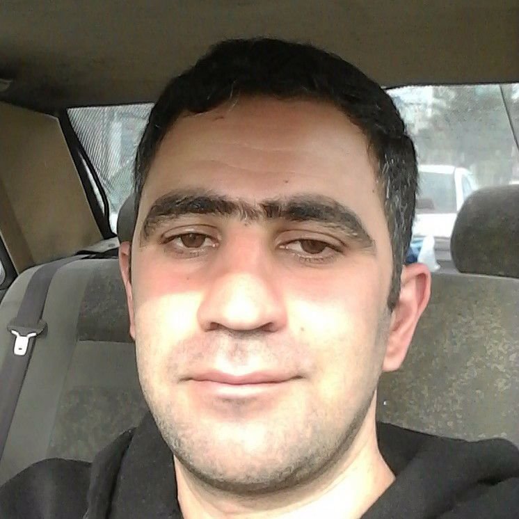 امیر چمنی