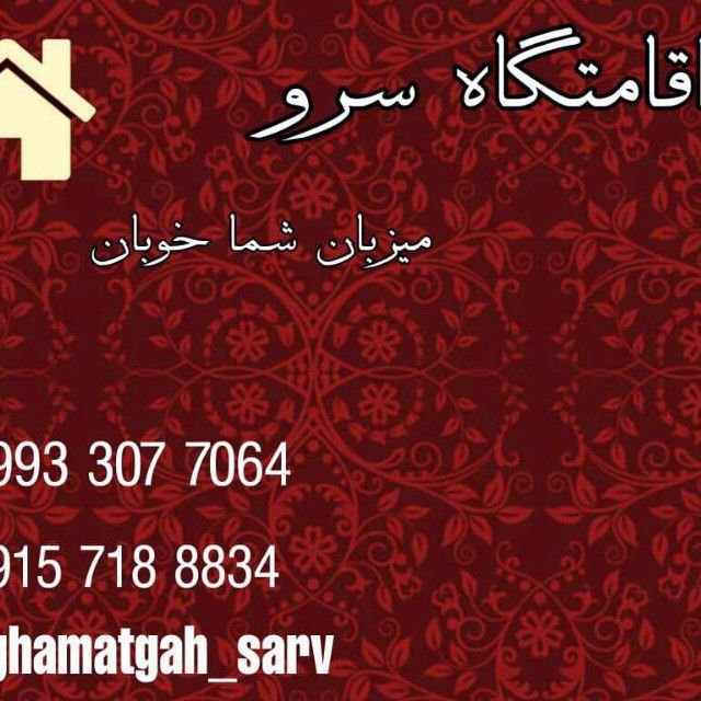 سید محمدتقی