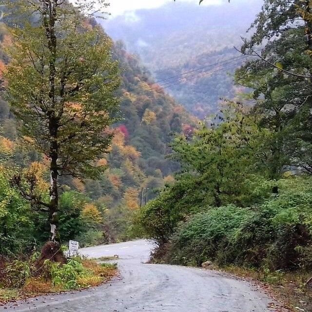 تصویر پروفایل میزبان