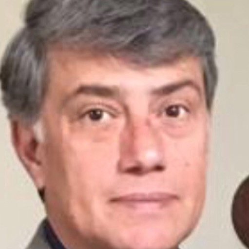 محمد مهدی