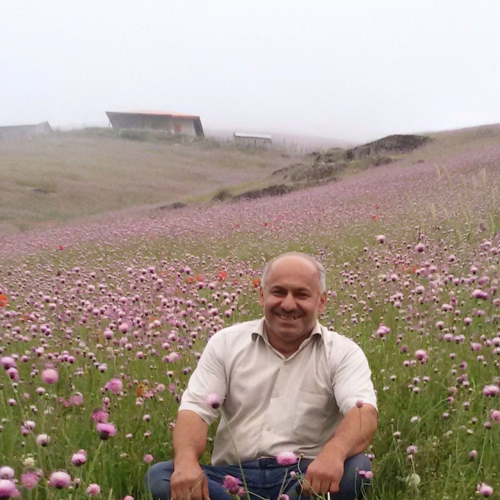 مرداويچ