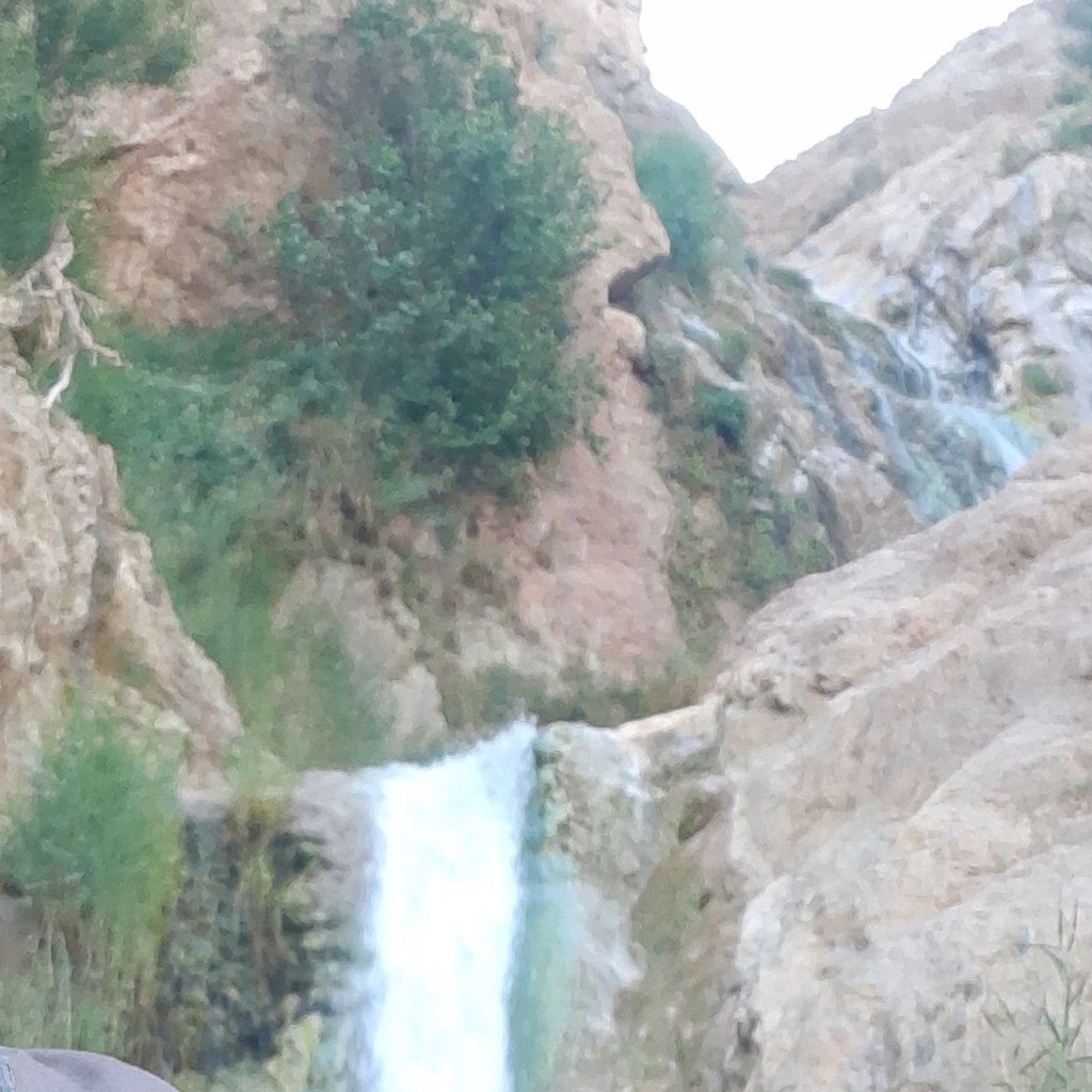 سیدمهدی 