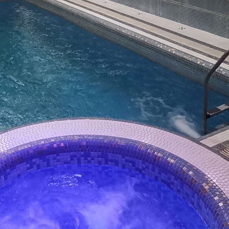 محدثه 