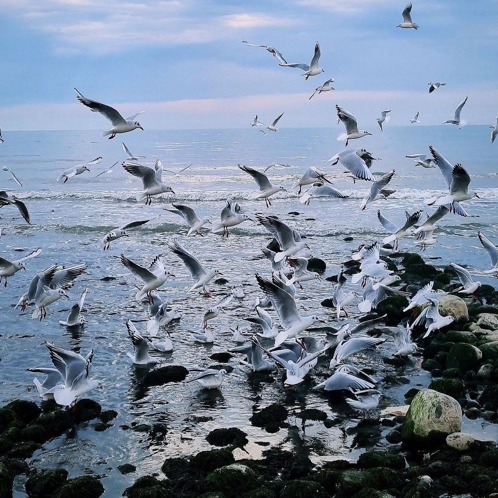 تصویر پروفایل میزبان