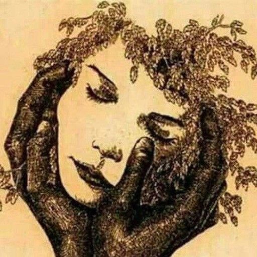 مهرنوش