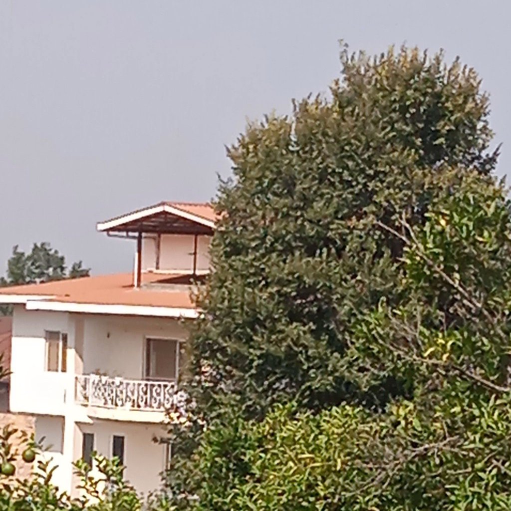 نادر 