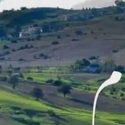 تصویر پروفایل میزبان