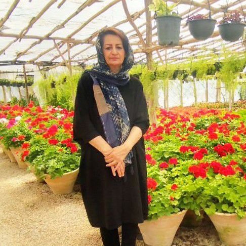 صدیقه