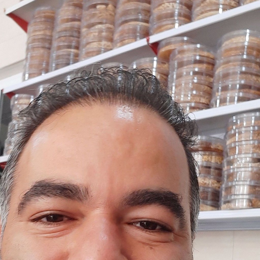ارسلان 
