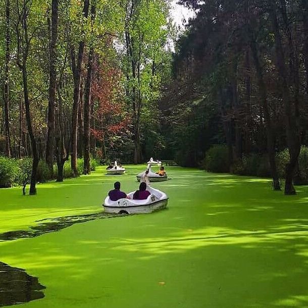 مهدی