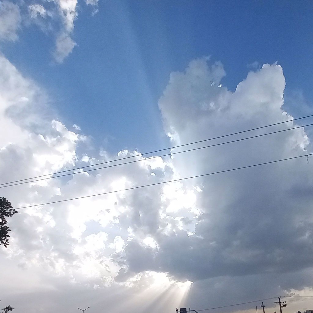 سپیده