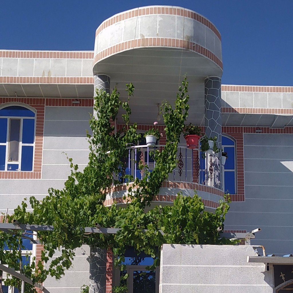 بهروان پاکباز