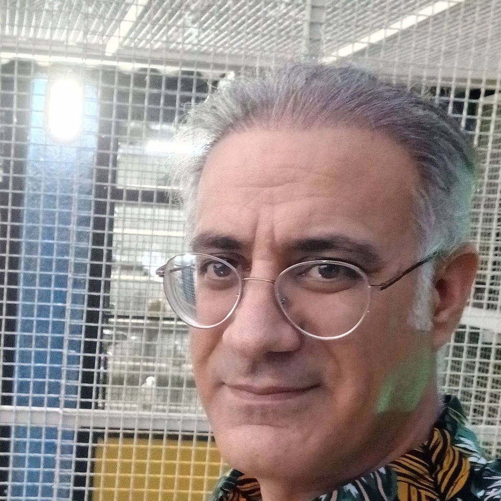 mahdi