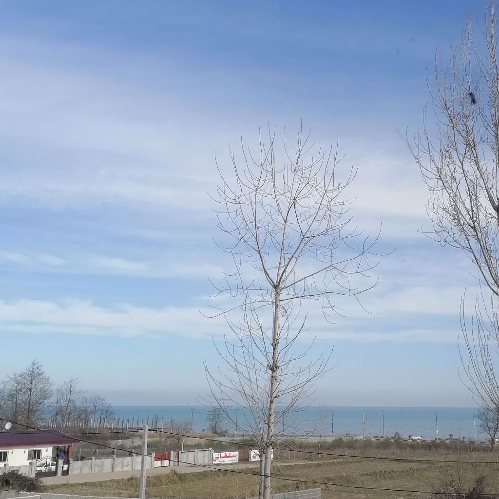 تصویر پروفایل میزبان