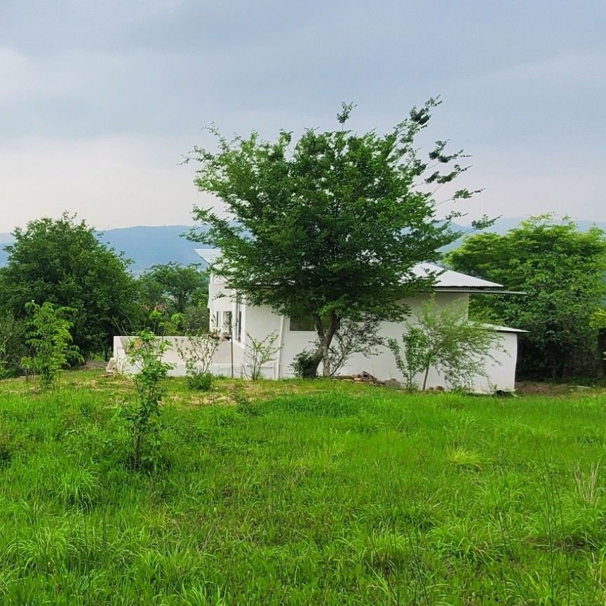 تصویر پروفایل میزبان