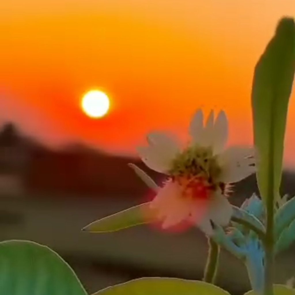 ترانه