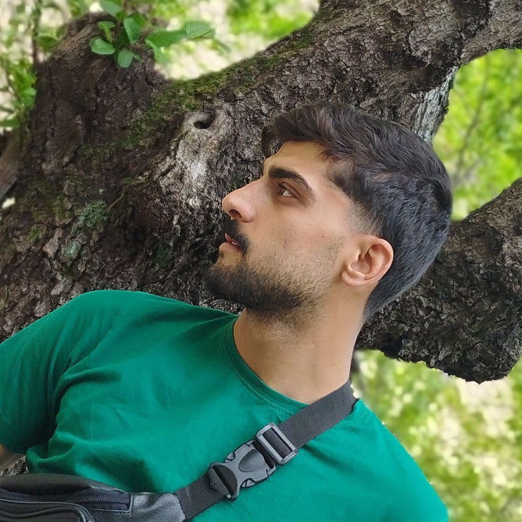 محمدمهدی