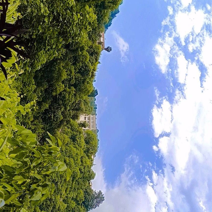 تصویر پروفایل میزبان